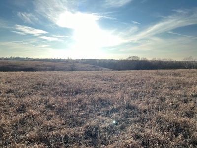 Kansas Land for Sale 315.06 Acres +/- Rosalia KS - image 38