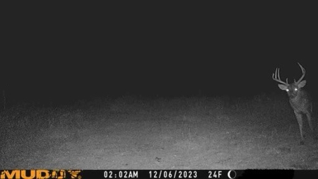 Kansas Land for Sale 315.06 Acres +/- Rosalia KS - image 11