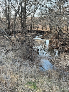 Kansas Land for Sale 315.06 Acres +/- Rosalia KS - image 43