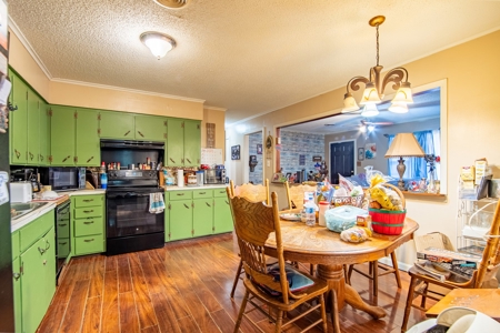 Affordable Home for Sale in Bradford, Tennessee - image 9
