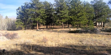 Colorado Golf Course Lot - image 1