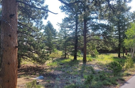 Colorado Golf Course Lot - image 2