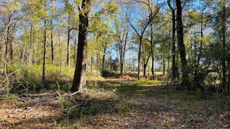 4.5 Acres on Hwy 69 in Lumberton, Zoned R2 - image 6
