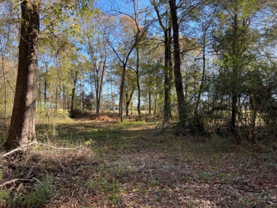 4.5 Acres on Hwy 69 in Lumberton, Zoned R2 - image 10