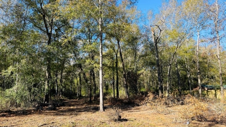 4.5 Acres on Hwy 69 in Lumberton, Zoned R2 - image 3