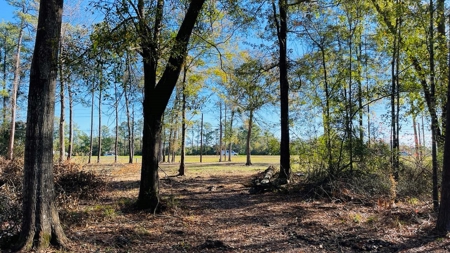4.5 Acres on Hwy 69 in Lumberton, Zoned R2 - image 4
