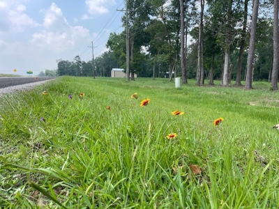 4.5 Acres on Hwy 69 in Lumberton, Zoned R2 - image 20