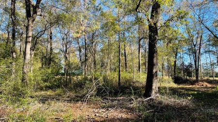 4.5 Acres on Hwy 69 in Lumberton, Zoned R2 - image 8