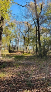 4.5 Acres on Hwy 69 in Lumberton, Zoned R2 - image 7