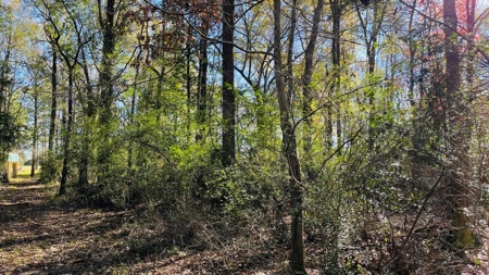 4.5 Acres on Hwy 69 in Lumberton, Zoned R2 - image 5