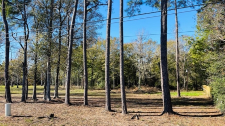 4.5 Acres on Hwy 69 in Lumberton, Zoned R2 - image 1