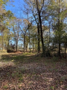 4.5 Acres on Hwy 69 in Lumberton, Zoned R2 - image 9