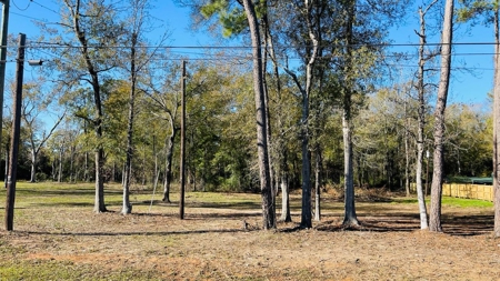 4.5 Acres on Hwy 69 in Lumberton, Zoned R2 - image 2