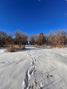 Custom Home with Apartment / Studio on acreage, Chama NM - image 18