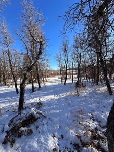 Custom Home with Apartment / Studio on acreage, Chama NM - image 17