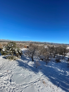 Custom Home with Apartment / Studio on acreage, Chama NM - image 31