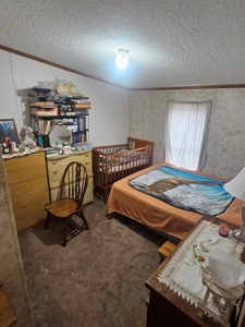 Country Home For Sale - image 14