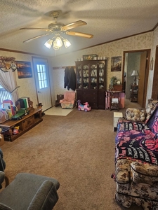 Country Home For Sale - image 13