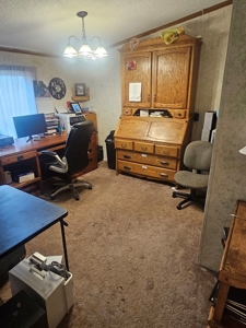 Country Home For Sale - image 10