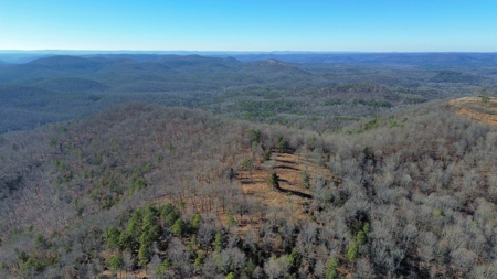 Land For Sale In The Arkansas Ozark Mountains - image 4