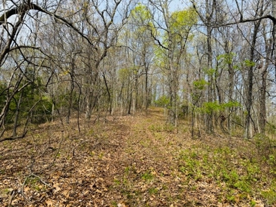 Land For Sale In The Arkansas Ozark Mountains - image 24