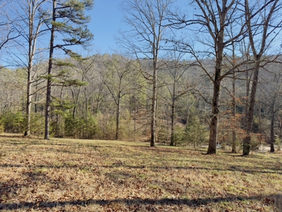 Land For Sale In The Arkansas Ozark Mountains - image 13