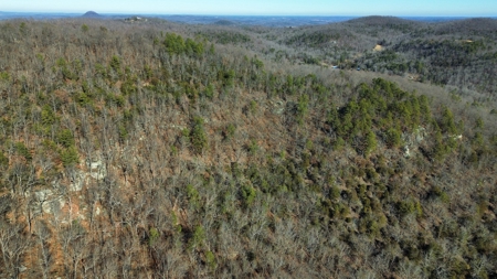 Land For Sale In The Arkansas Ozark Mountains - image 6