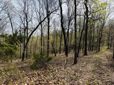 Land For Sale In The Arkansas Ozark Mountains - image 26