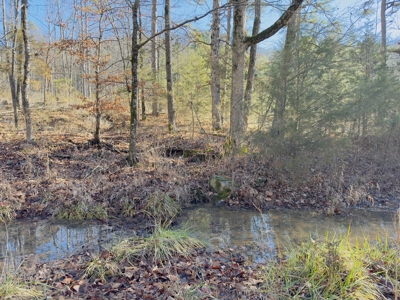 Land For Sale In The Arkansas Ozark Mountains - image 14