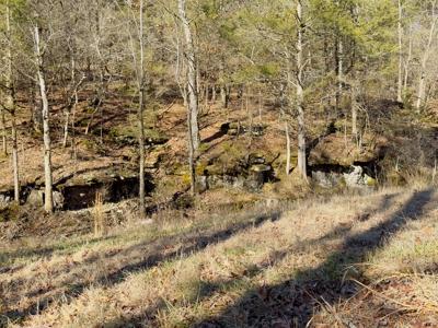 Land For Sale In The Arkansas Ozark Mountains - image 17