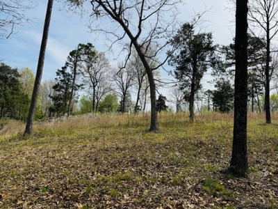 Land For Sale In The Arkansas Ozark Mountains - image 25