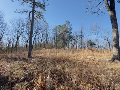 Land For Sale In The Arkansas Ozark Mountains - image 20