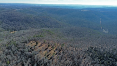 Land For Sale In The Arkansas Ozark Mountains - image 8
