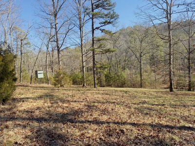 Land For Sale In The Arkansas Ozark Mountains - image 12
