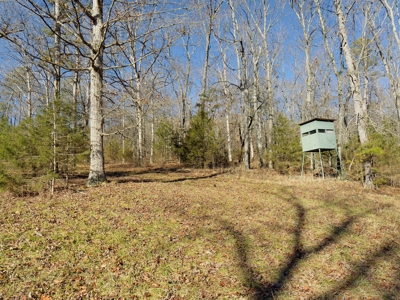 Land For Sale In The Arkansas Ozark Mountains - image 10