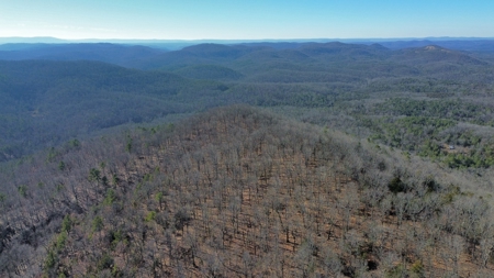 Land For Sale In The Arkansas Ozark Mountains - image 9