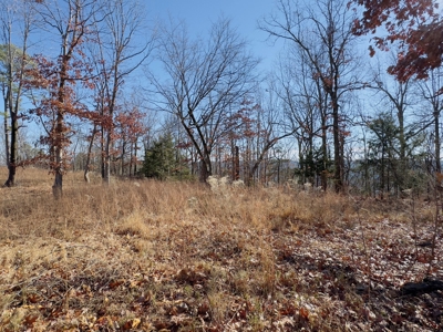 Land For Sale In The Arkansas Ozark Mountains - image 21