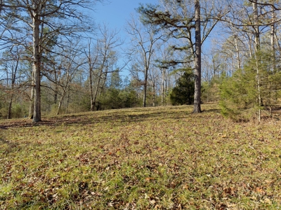 Land For Sale In The Arkansas Ozark Mountains - image 11