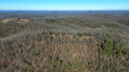 Land For Sale In The Arkansas Ozark Mountains - image 5