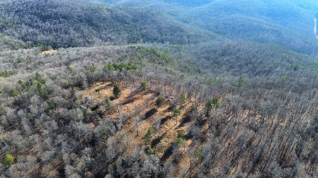 Land For Sale In The Arkansas Ozark Mountains - image 7
