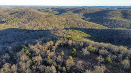 Land For Sale In The Arkansas Ozark Mountains - image 1