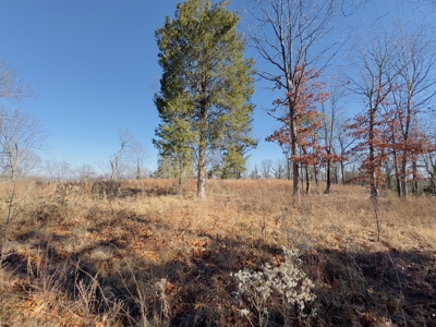 Land For Sale In The Arkansas Ozark Mountains - image 18