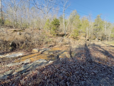 Land For Sale In The Arkansas Ozark Mountains - image 15