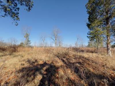Land For Sale In The Arkansas Ozark Mountains - image 19