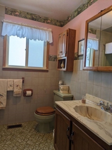 Canada Creek Ranch Home Atlanta MI For Sale - image 8