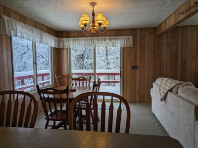 Canada Creek Ranch Home Atlanta MI For Sale - image 50