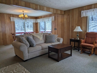 Canada Creek Ranch Home Atlanta MI For Sale - image 29
