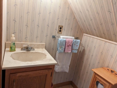 Canada Creek Ranch Home Atlanta MI For Sale - image 43