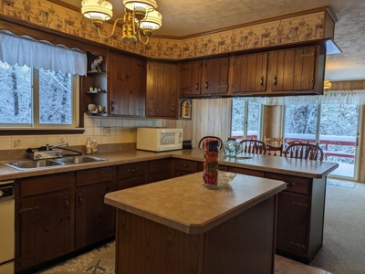 Canada Creek Ranch Home Atlanta MI For Sale - image 25
