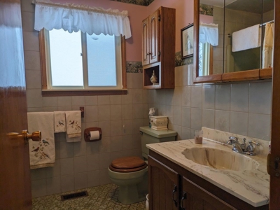 Canada Creek Ranch Home Atlanta MI For Sale - image 31